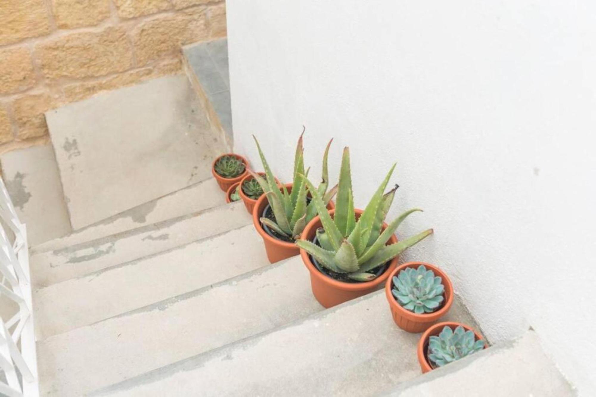 Authentic 1St Fl Apartment At The 3 Cities Marina Cospicua Ngoại thất bức ảnh